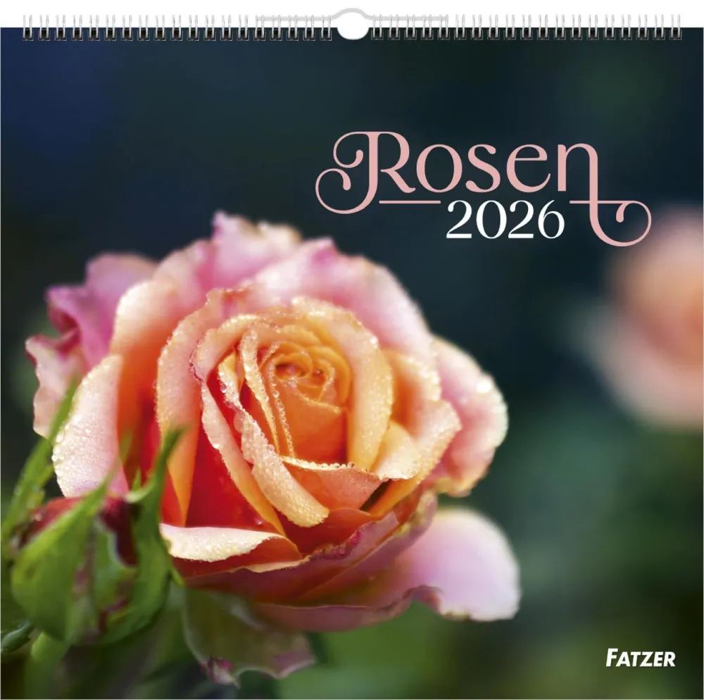 Rosen - Wandkalender