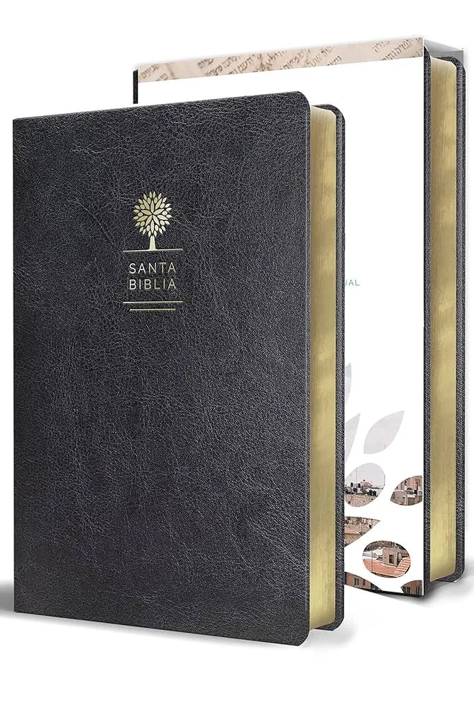 Spanisch, Bibel Reina Valera 1960, Grossdruck