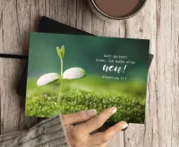 Postkarten Jahreslosung 2026 Spross - Offenbarung 21,5