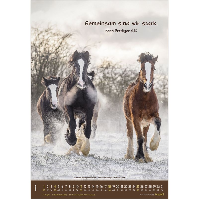 Meine kleine Welt - Wandkalender