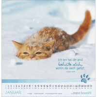 Katzen-Tatzen - Wandkalender
