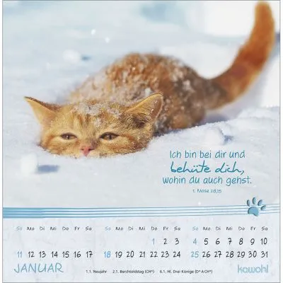 Kleine Katzen-Tatzen - Postkartenkalender