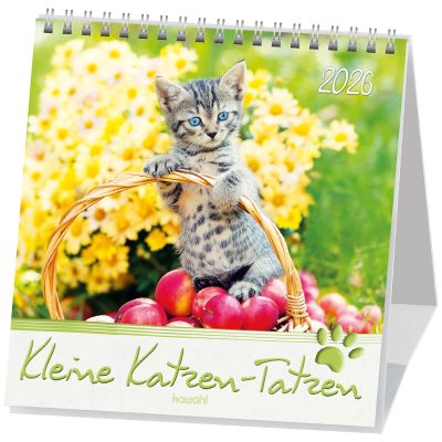 Kleine Katzen-Tatzen - Postkartenkalender