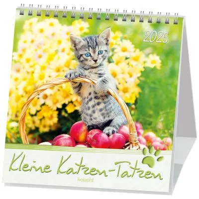 Kleine Katzen-Tatzen - Postkartenkalender
