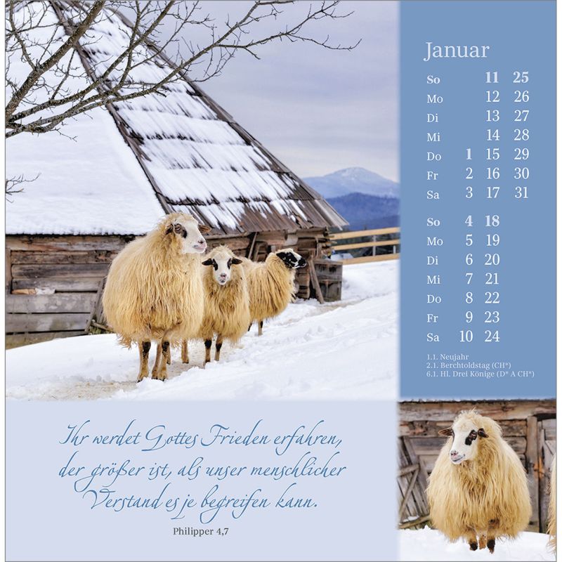 Sei behütet und gesegnet - Mit Impulsen und Gedanken zu Psalm 23 - Postkartenkalender