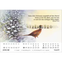 Er sendet Tau und Regen - Impressionen aus dem Garten der Schöpfung, gezeichnet von Michal...