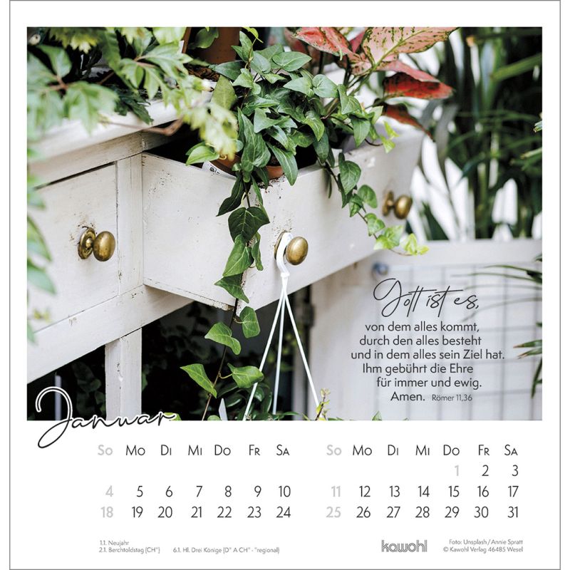 Auszeit im Grünen - Die Vielfalt der Schöpfung entdecken - Wandkalender