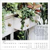 Kleine Auszeit im Grünen - Die Vielfalt der Schöpfung entdecken - Postkartenkalender