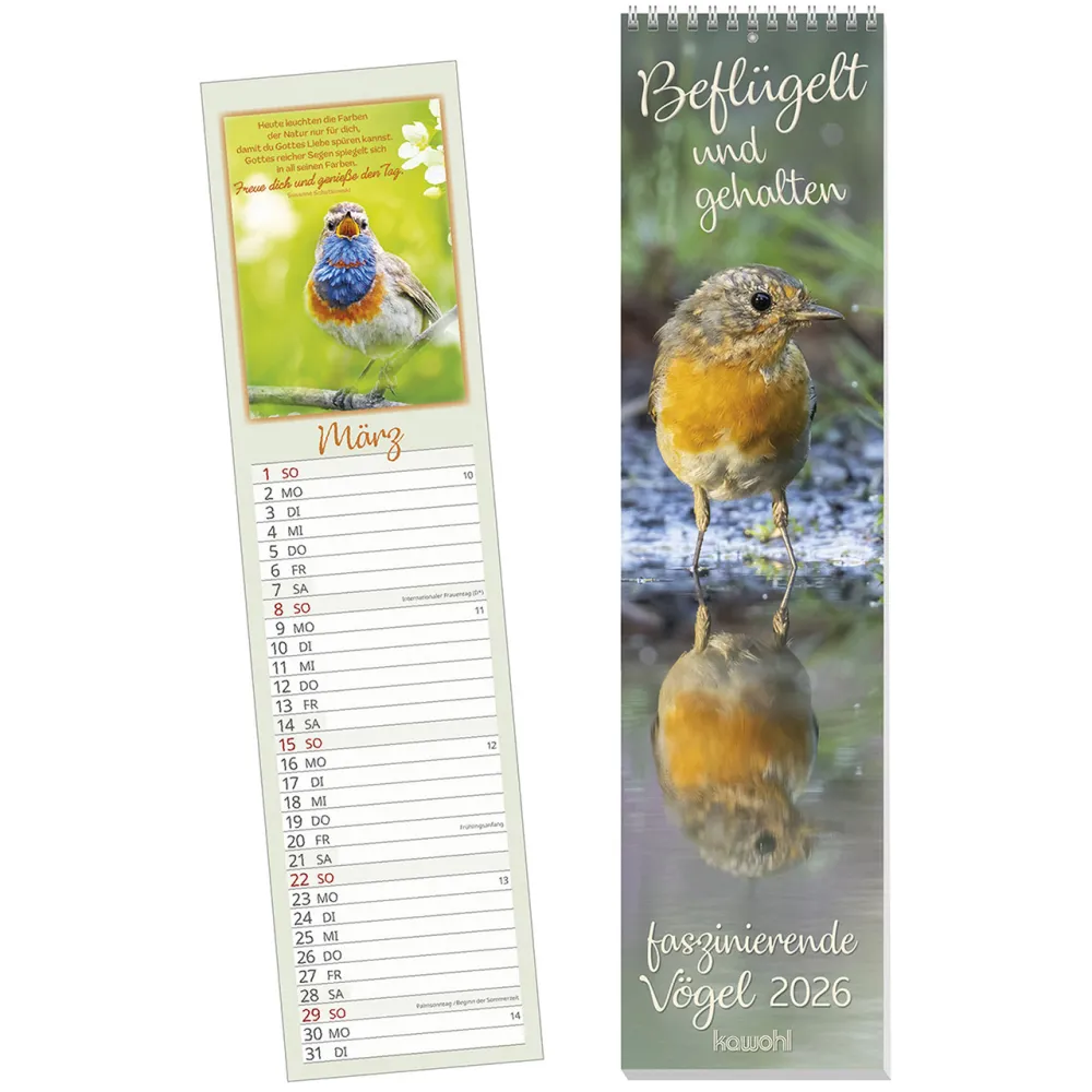 Beflügelt und gehalten - Faszinierende Vögel - Streifenkalender