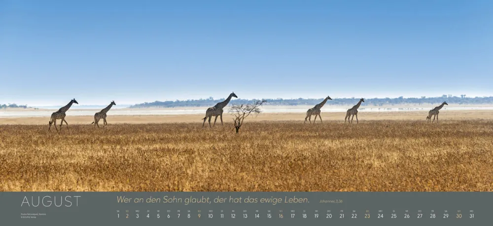 Ewigkeit im Herzen - Riesenpanoramakalender