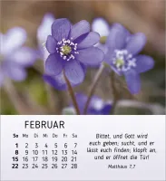 Stille Begegnungen - Tischkalender