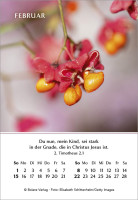 Ein Jahr der Freude - Mini-Aufstellkalender