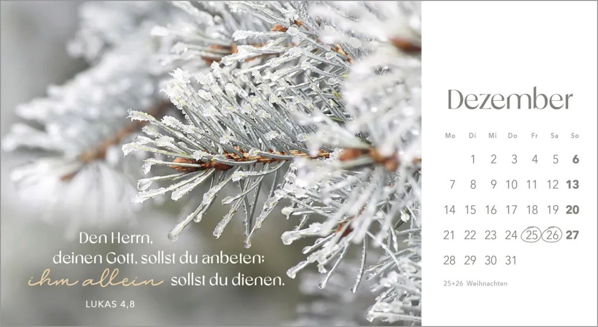 Augenblicke der Anbetung - Postkartenkalender mit Blumenfotos