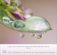 Gesichter der Natur - Wandkalender