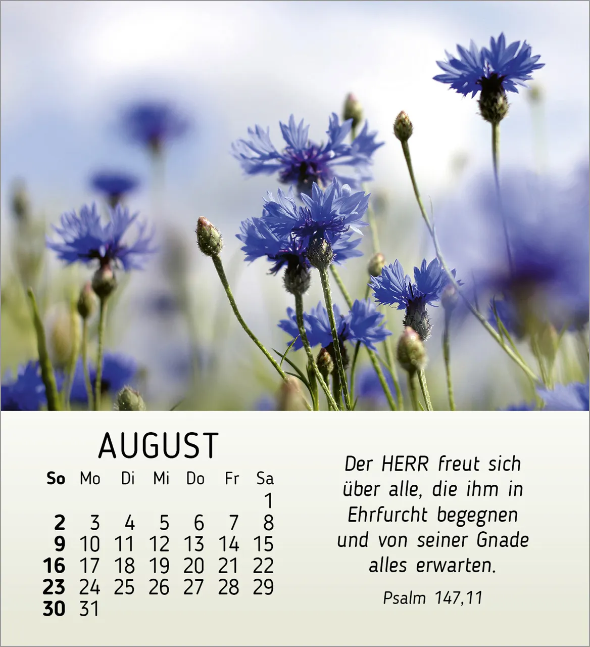 Ich wünsch dir Freude - Tischkalender