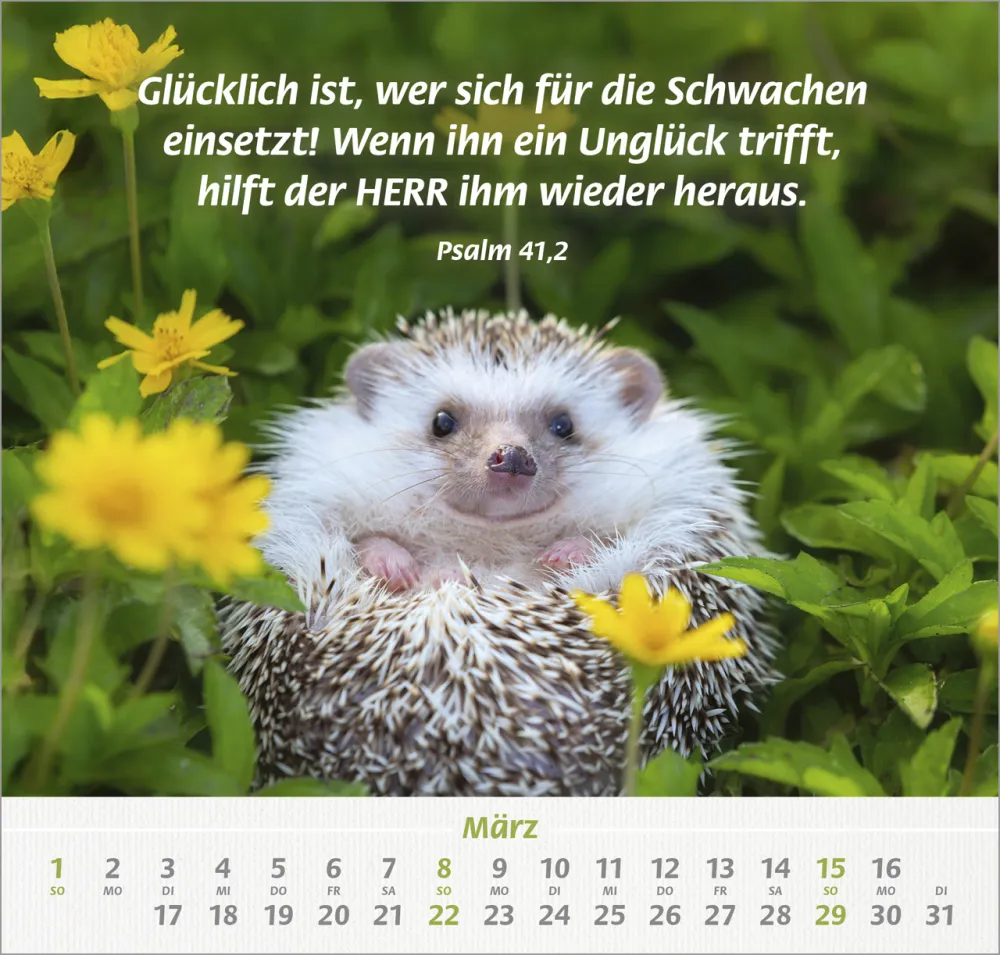 Ich hab dich gern - Wandkalender