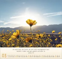 Licht Impressionen - Wandkalender