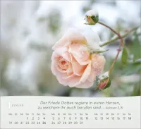 Rosen - Tischkalender