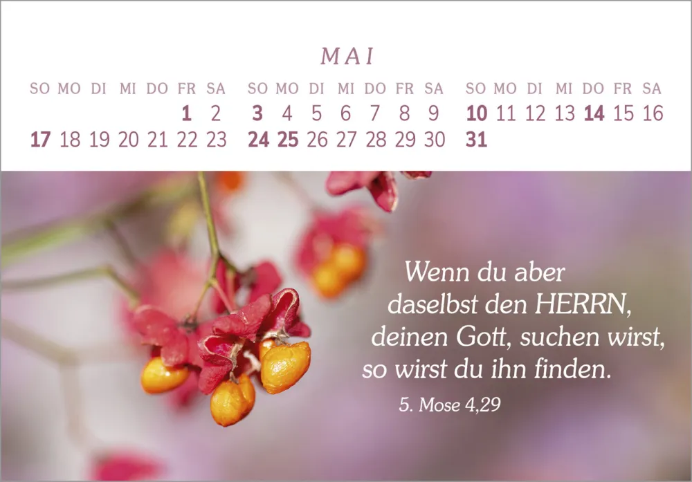 Das Geschenk der Freude - Panorama-Tischkalender