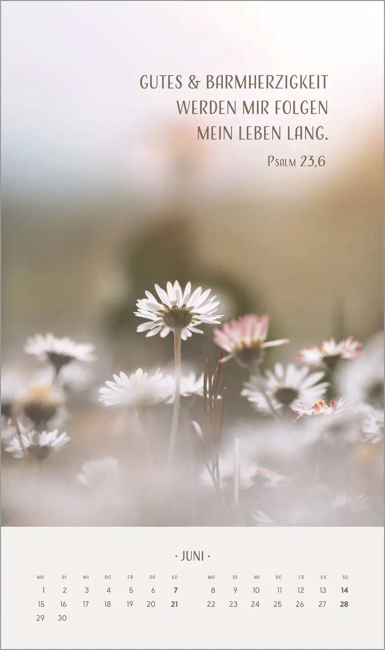 Zarte Blumengrüsse - Wandkalender