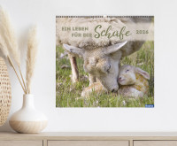 Kalender Ein Leben für die Schafe - Wandkalender