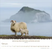 Kalender Ein Leben für die Schafe - Wandkalender