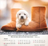Kalender Hunde - Tischkalender