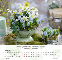 Gärten - Tischkalender