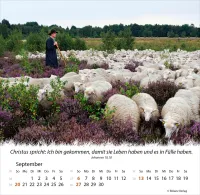Kalender Ein Leben für die Schafe - Tischkalender