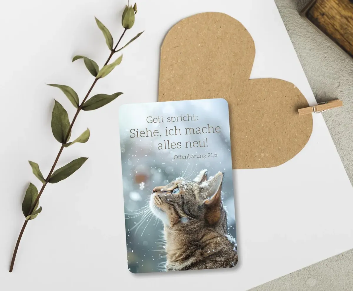 Kalender Kärtchen - Katze (Jahreskalender)