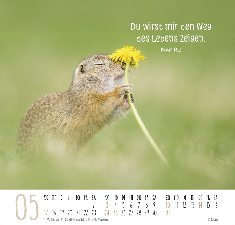 Kalender Beste Freunde - Ich mag dich - Posterkalender