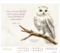 MeisterWerke des Schöpfers - Tischkalender