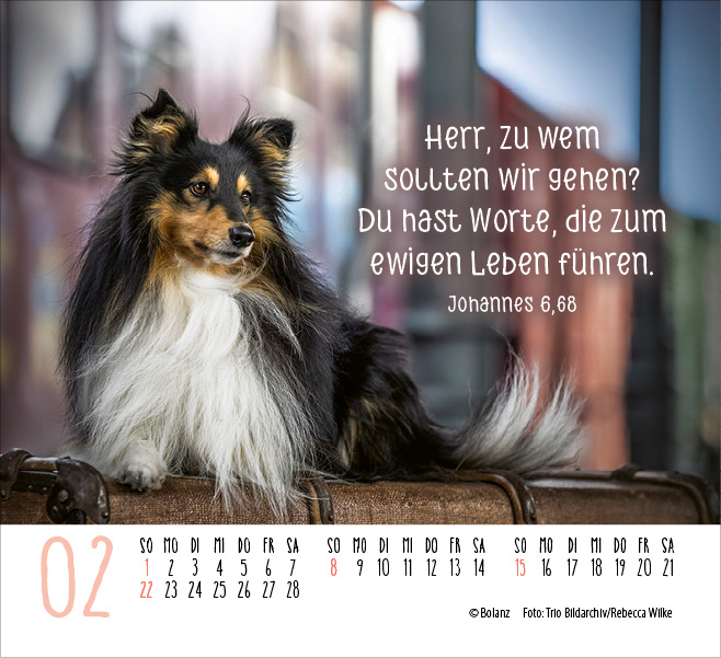 Kalender Hunde - Treue Wegbegleiter - Minikalender