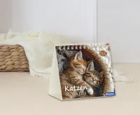 Katzen - Auf leisen Pfoten - Minikalender