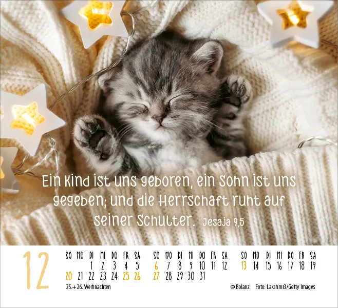 Katzen - Auf leisen Pfoten - Minikalender