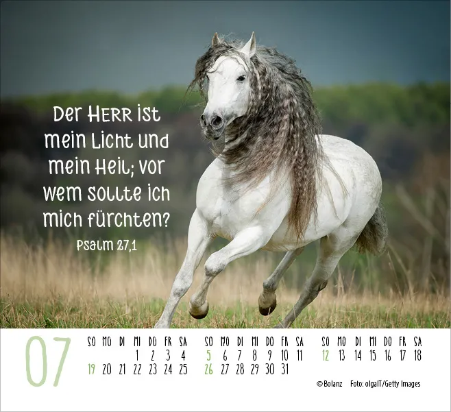 Kalender Pferde - Elegante Schönheiten - Minikalender