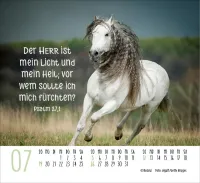 Pferde - Elegante Schönheiten - Minikalender