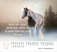 Kalender Pferde - Elegante Schönheiten - Minikalender