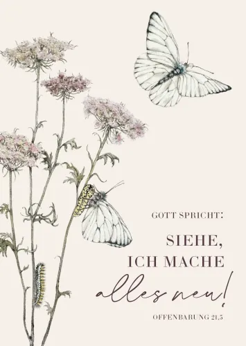 Gott spricht: Siehe, ich mache alles neu (10 Postkarten) - Jahreslosung 2026 - Motiv Rebekka...