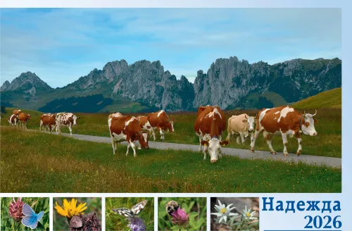 Bulgarisch - Deutsch, Bildkalender Hoffnung - Monatskalender