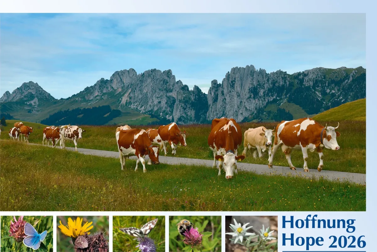Englisch - Deutsch, Bildkalender Hoffnung - Monatskalender