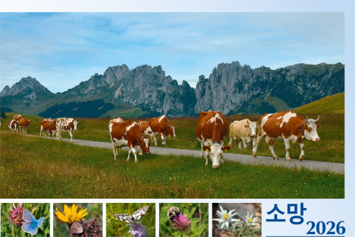 Koreanisch - Deutsch, Bildkalender Hoffnung - Monatskalender