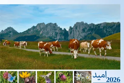Farsi (Persisch) - Deutsch, Bildkalender Hoffnung - Monatskalender