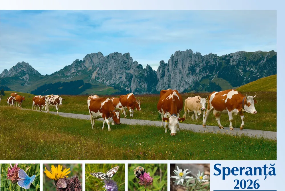 Rumänisch - Deutsch, Bildkalender Hoffnung - Monatskalender