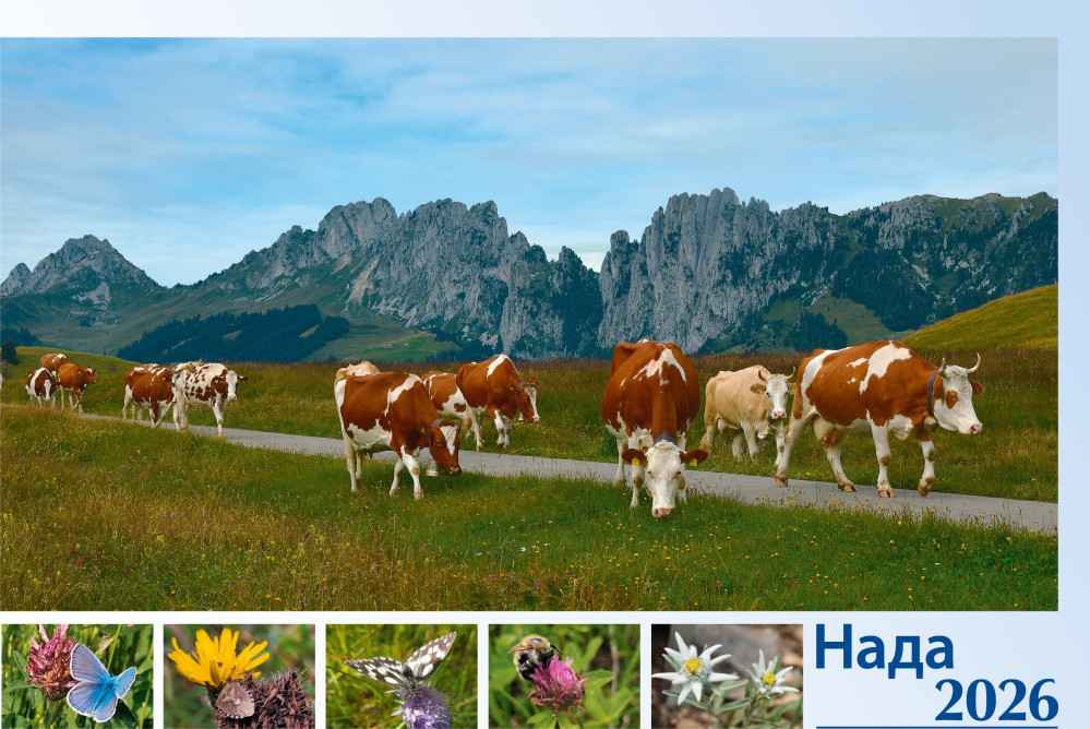 Serbisch - Deutsch (kyrillische Schrift), Bildkalender Hoffnung - Monatskalender