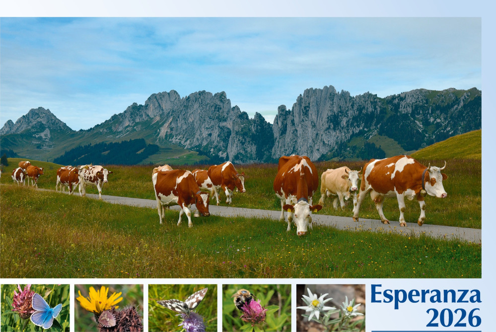 Spanisch - Deutsch, Bildkalender Hoffnung - Monatskalender