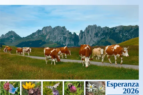 Spanisch - Deutsch, Bildkalender Hoffnung - Monatskalender