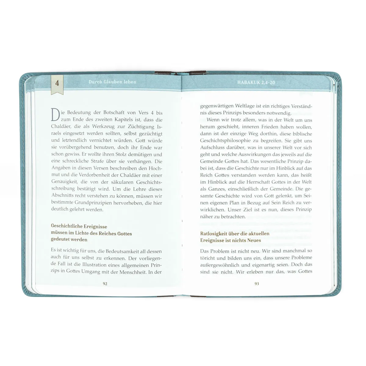 Und Gott greift doch ein - Vom Handeln Gottes in der Geschichte