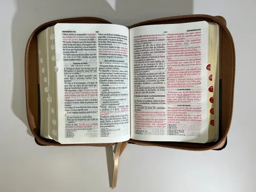 Spanisch, Reina Valera 1960 Bibel - Taschenformat gebunden, Kunstleder braun, Motiv Adler