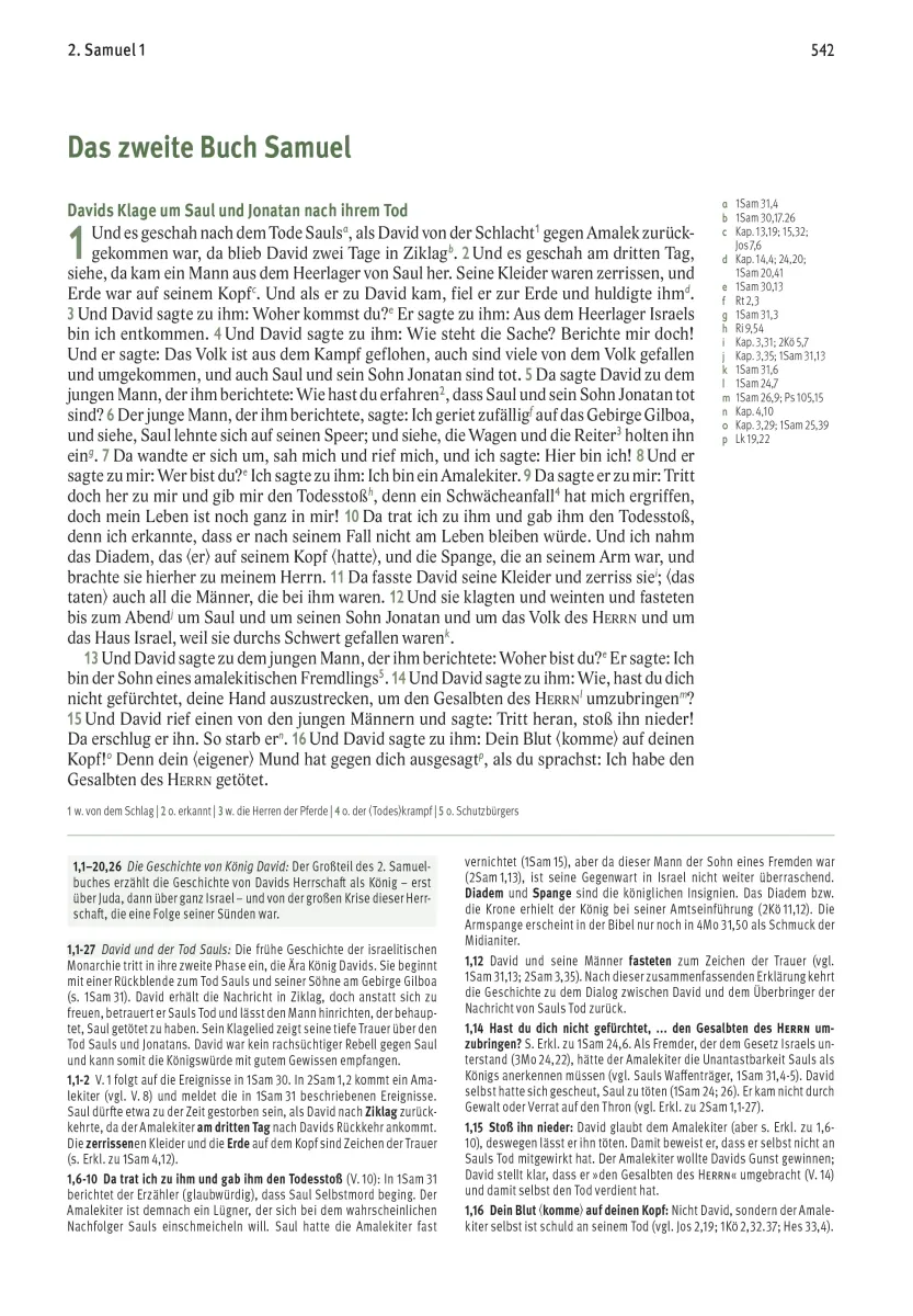 Elberfelder Bibel - Leder Grau mit Goldschnitt - Die große Studien- und Kommentarausgabe